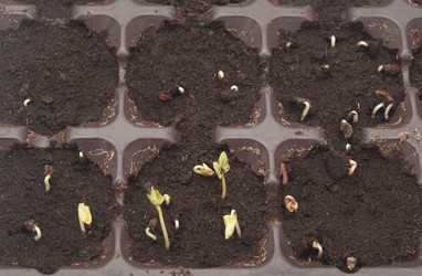 Similar image 6104438