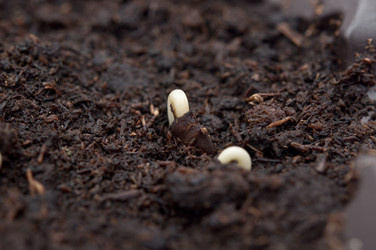 Similar image 6104439