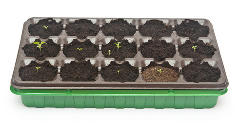 Similar image 6104449