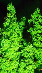 Similar image 6104517