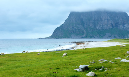 Similar image 6104535