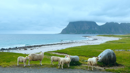 Similar image 6104536