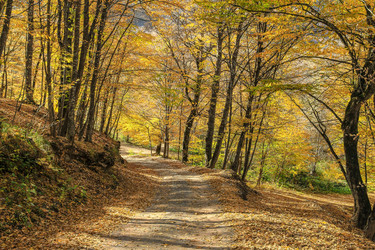 Similar image 6104570