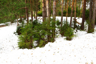 Similar image 6104579