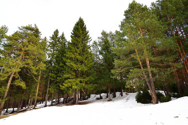 Similar image 6104582