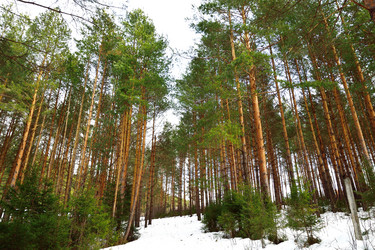 Similar image 6104584