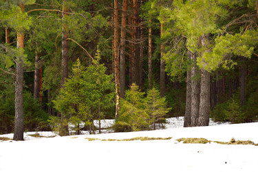 Similar image 6104585