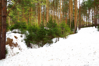 Similar image 6104586