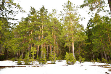 Similar image 6104587