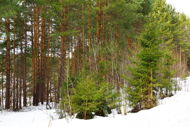 Similar image 6104590