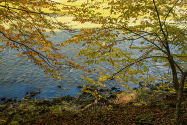 Similar image 6104605