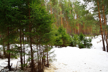 Similar image 6104609