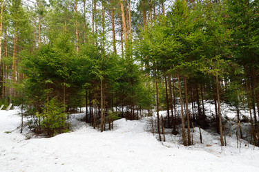 Similar image 6104610