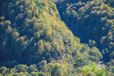 Similar image 6104650