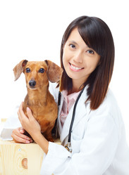 Similar image 6104811