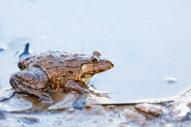 Similar image 6104833