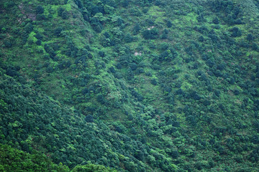 Similar image 6104859