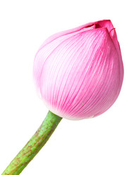 Similar image 6104996