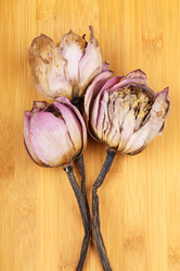 Similar image 6105109