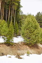 Similar image 6105462