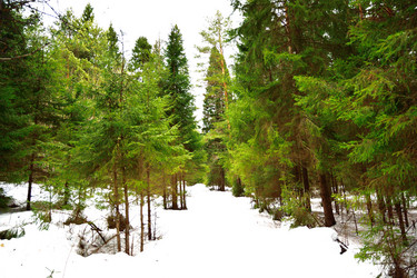 Similar image 6105463