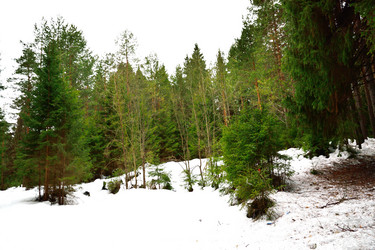 Similar image 6105465