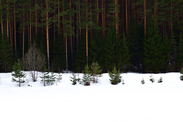 Similar image 6105467