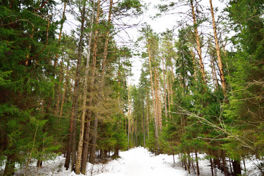 Similar image 6105468