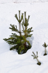 Similar image 6105469