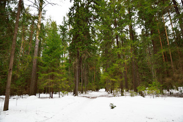 Similar image 6105472