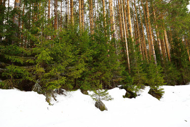 Similar image 6105474