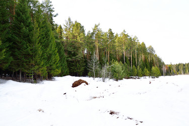 Similar image 6105475