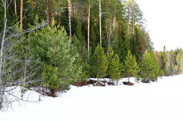 Similar image 6105476