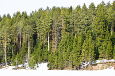 Similar image 6105477