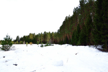 Similar image 6105480