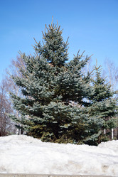 Similar image 6105481