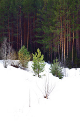 Similar image 6105483