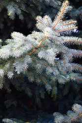 Similar image 6105484