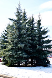 Similar image 6105486