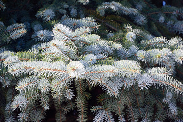 Similar image 6105488