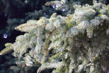 Similar image 6105490