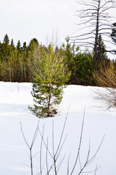 Similar image 6105491