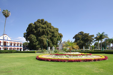 Similar image 6105497