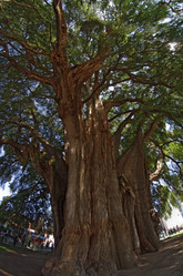 Similar image 6105498