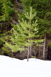 Similar image 6105512