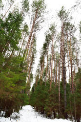 Similar image 6105515