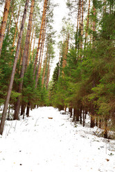 Similar image 6105516