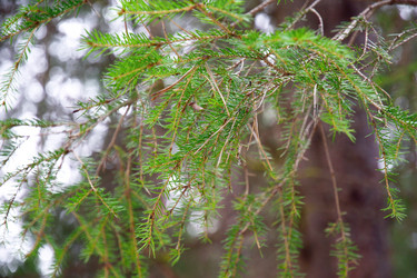 Similar image 6105517