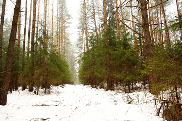 Similar image 6105518