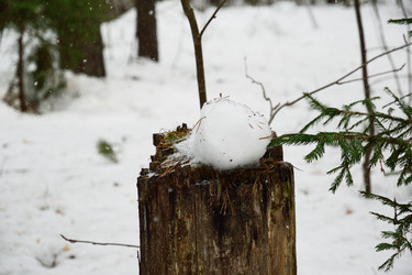 Similar image 6105519